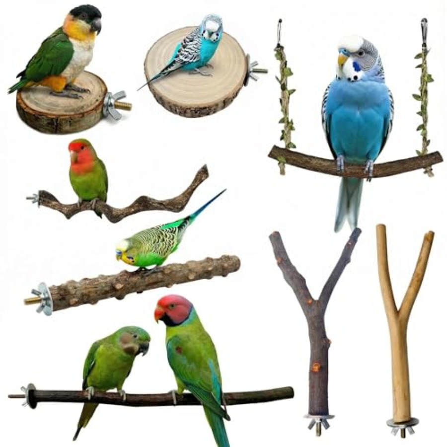 Health & Wellness Services At Western University London Reviews - 8PCS natural wood bird perches for