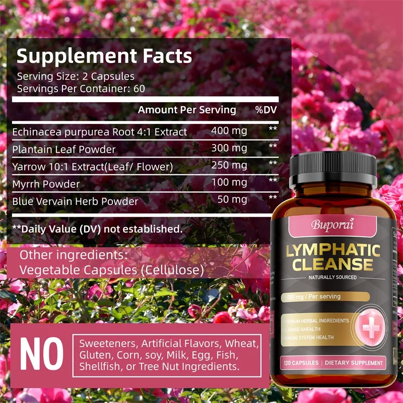 Lymphatic Cleanse Supplement - - Health And Wellness Promotion ulasan dan harga