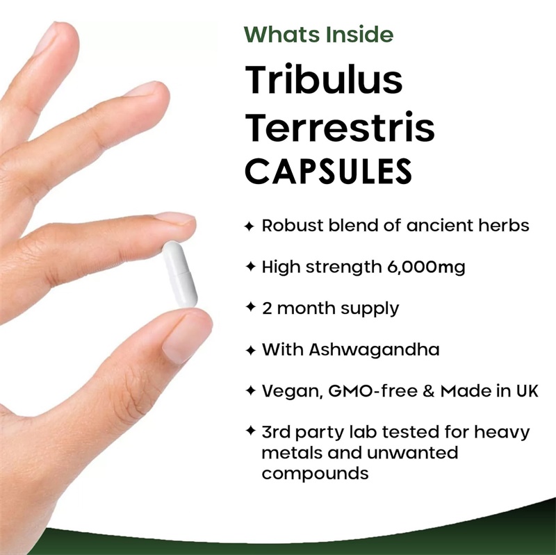 Tribulus Terrestris 6000MG - S - Health And Wellness Promotion ulasan dan harga