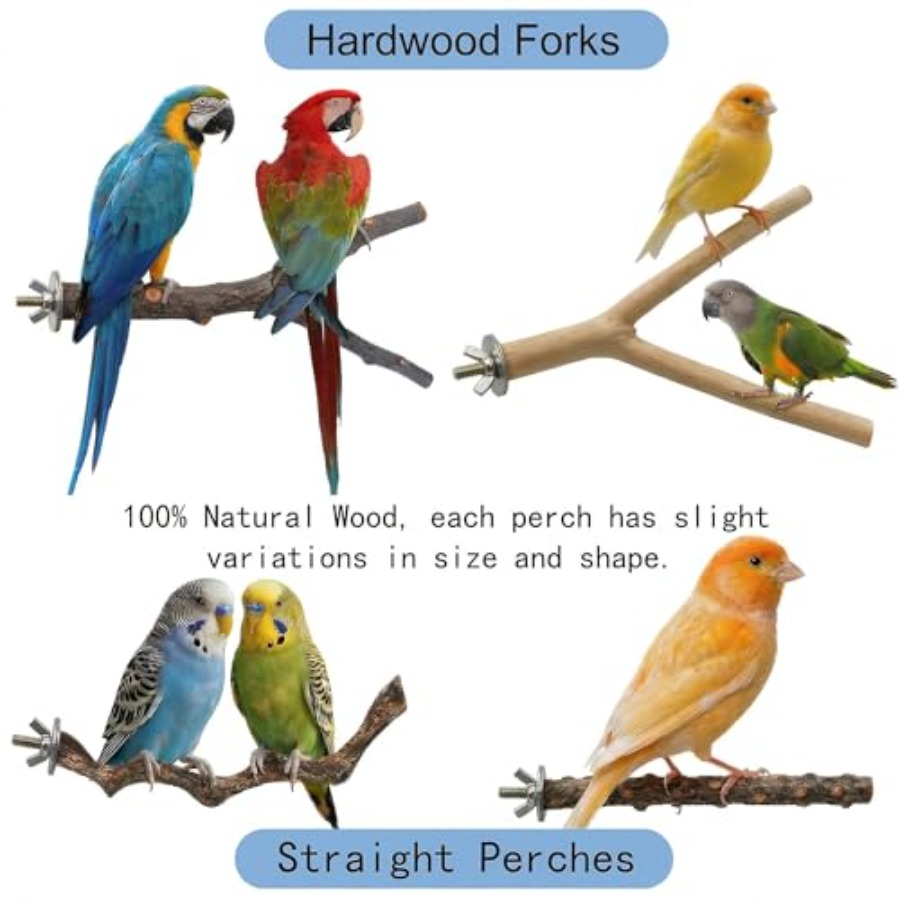 8PCS natural wood bird perches - Health & Wellness Services At Western University London Reviews ulasan dan harga