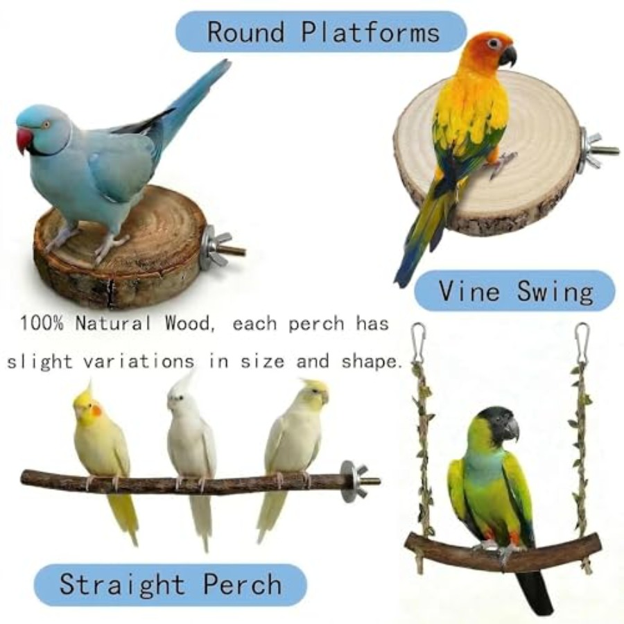 8PCS natural wood bird perches - Health & Wellness Services At Western University London Reviews ulasan dan harga