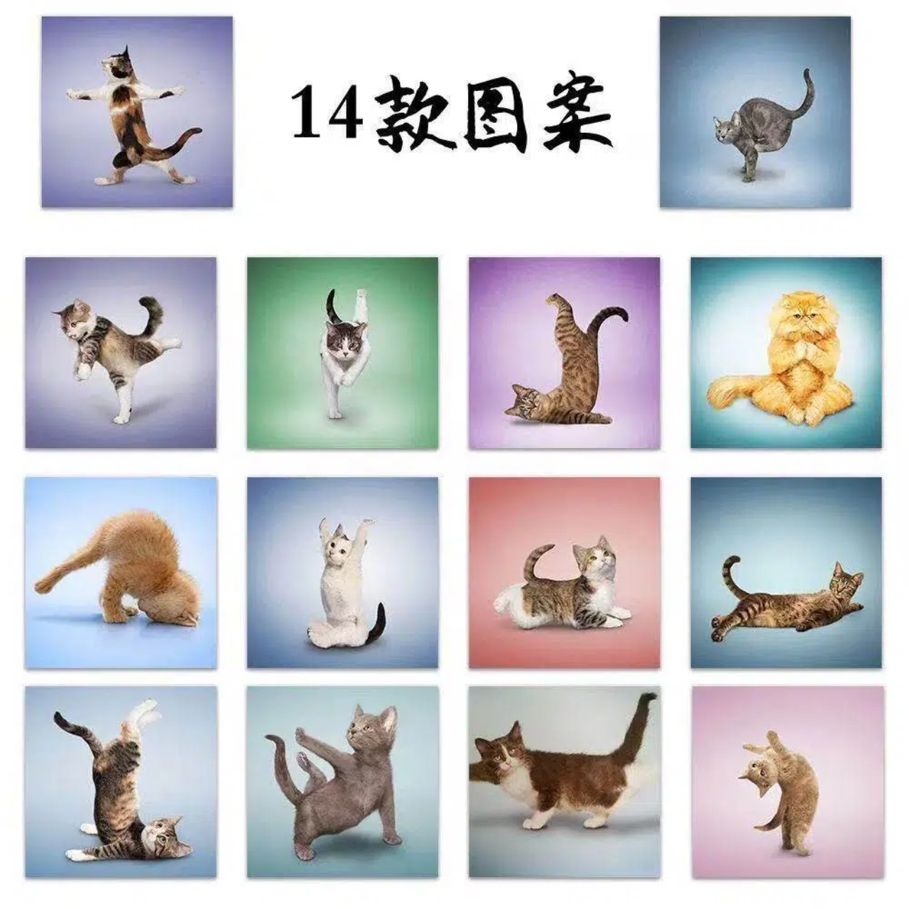 500pcs Cute Cat Roll Stickers  - Fitness Journal Planner ulasan dan harga