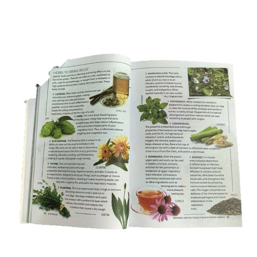 Sustain Me English Paperback b - Health Wellness Foundation ulasan dan harga